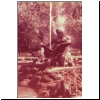 fountain 8